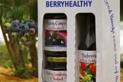 BerryHealthy-14