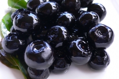 BerryHealthy-3